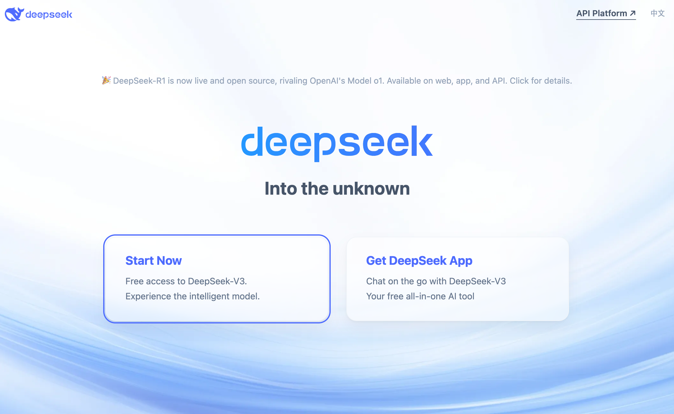 DeepSeek 홈 화면